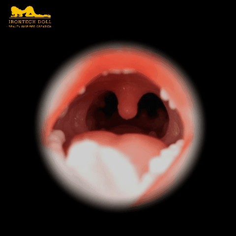 Fonction de sexe oral Irontech